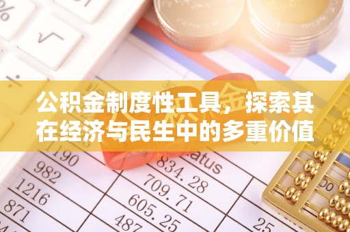 修水公积金制度性工具，探索其在经济与民生中的多重价值